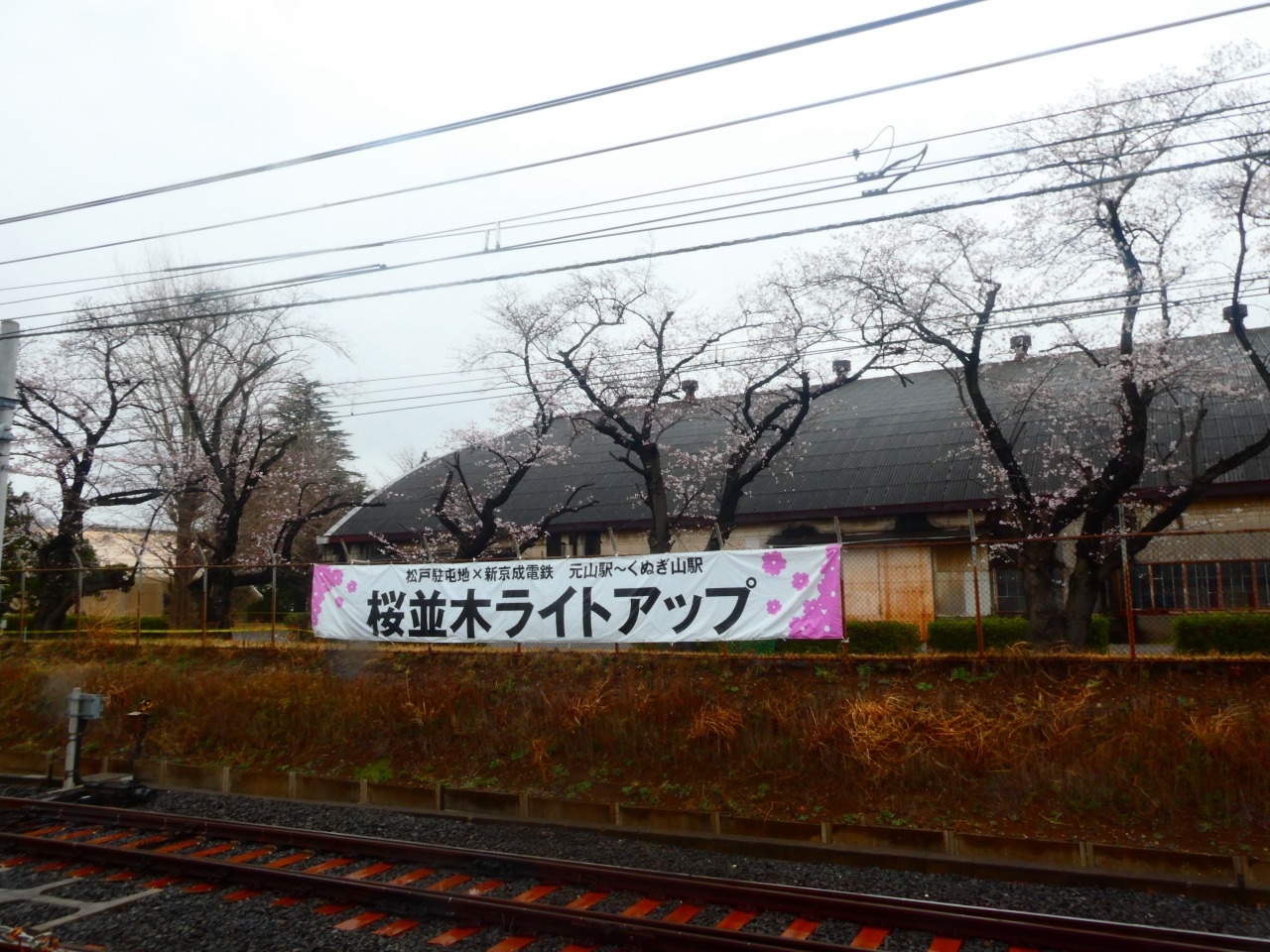 くぬぎ山